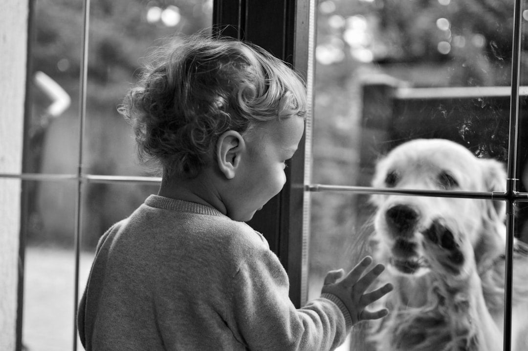 The Real Cost of Owning a Dog in Year One: A Flexible Budget for Adoption, Care, and Surprises