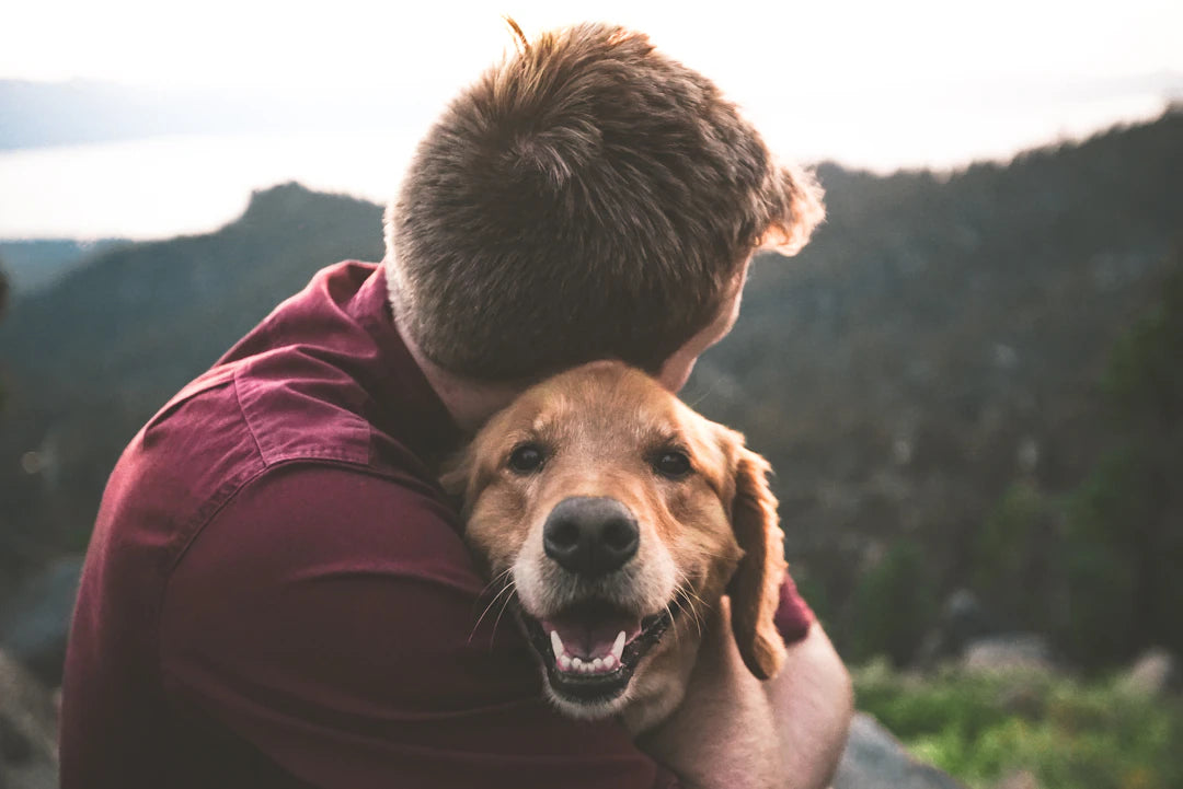 The Heartwarming Benefits of Adopting a Rescue Dog
