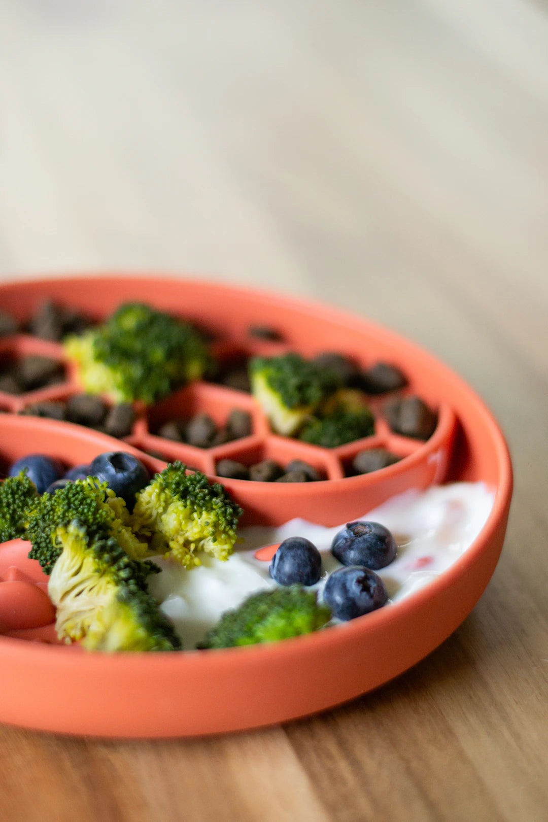 Healthy Diet Choices for Your Dog Nutrition Essentials