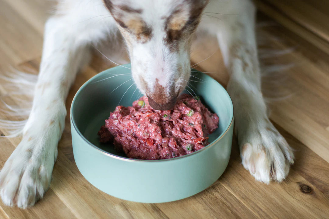 Healthy Nutrition for Dogs Your Complete Guide