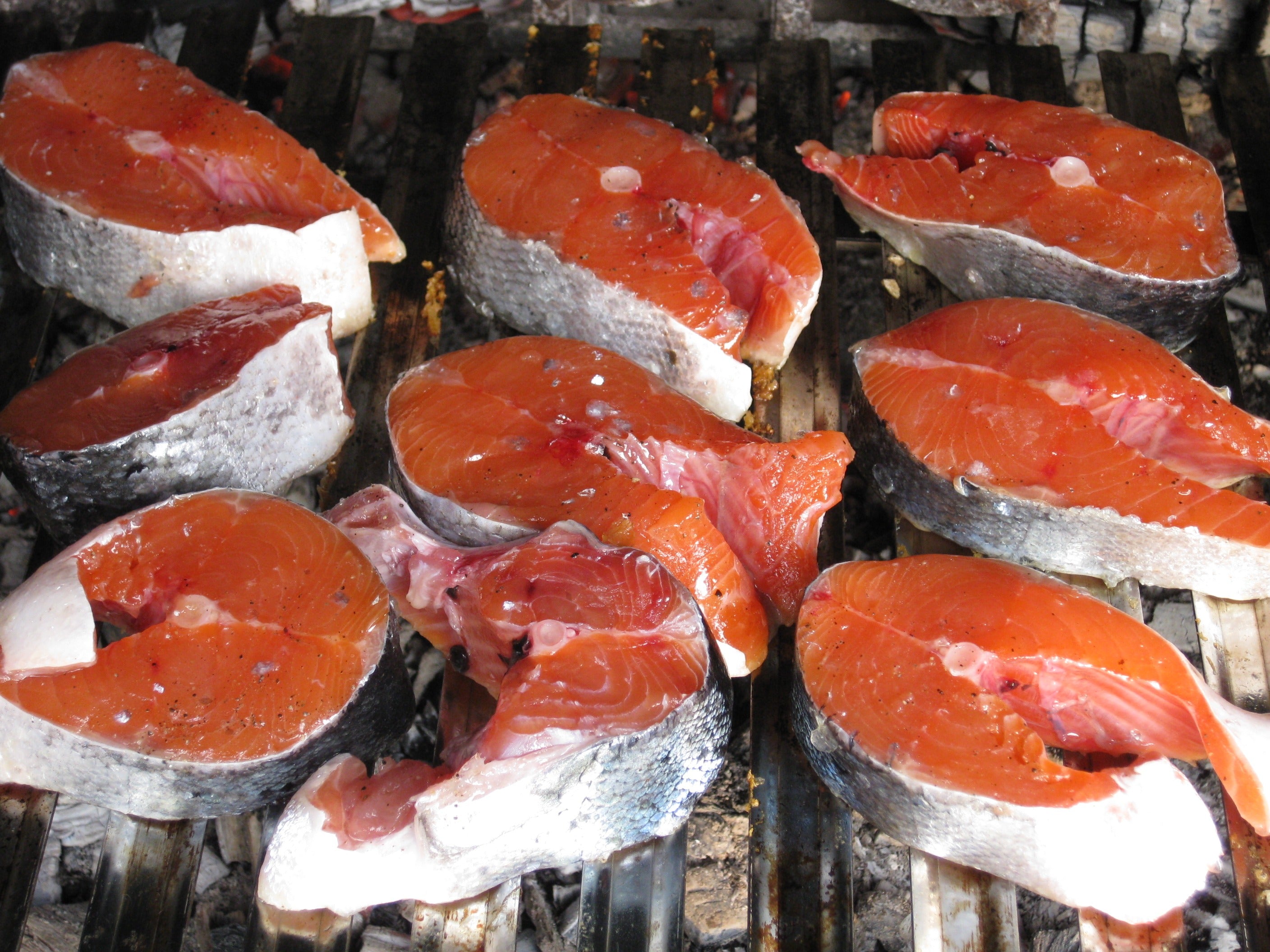 Salmon