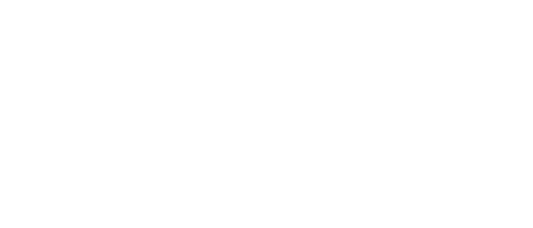 ryfie